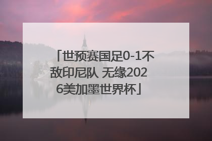 世预赛国足0-1不敌印尼队 无缘2026美加墨世界杯