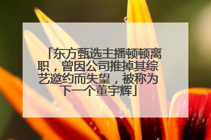 东方甄选主播顿顿离职，曾因公司推掉其综艺邀约而失望，被称为下一个董宇辉