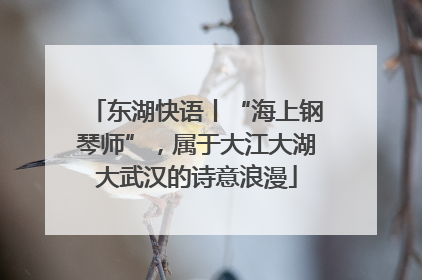 东湖快语丨“海上钢琴师”，属于大江大湖大武汉的诗意浪漫