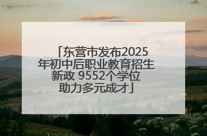 东营市发布2025年初中后职业教育招生新政 9552个学位助力多元成才