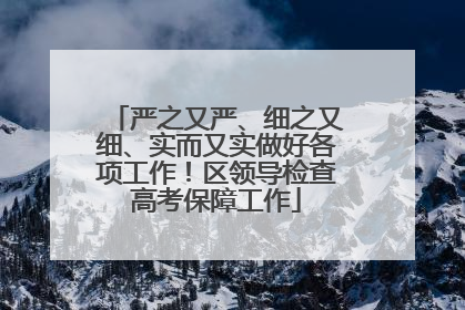 严之又严、细之又细、实而又实做好各项工作！区领导检查高考保障工作