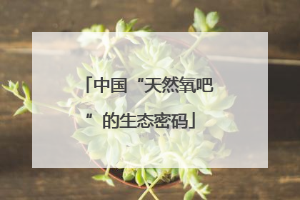 中国“天然氧吧”的生态密码