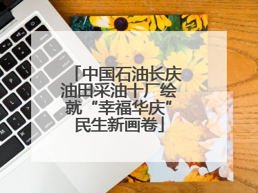 中国石油长庆油田采油十厂绘就“幸福华庆”民生新画卷