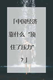 中国经济靠什么“顶住了压力”？