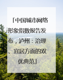 中国城市网络形象指数报告发布，泸州：治理、宜居方面的双优典范