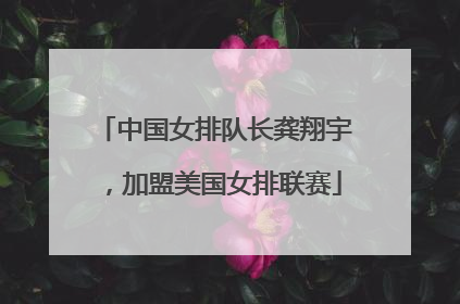 中国女排队长龚翔宇，加盟美国女排联赛