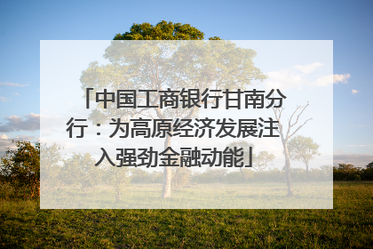 中国工商银行甘南分行：为高原经济发展注入强劲金融动能