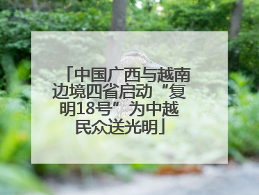 中国广西与越南边境四省启动“复明18号”为中越民众送光明