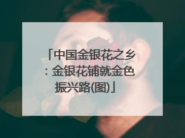 中国金银花之乡：金银花铺就金色振兴路(图)