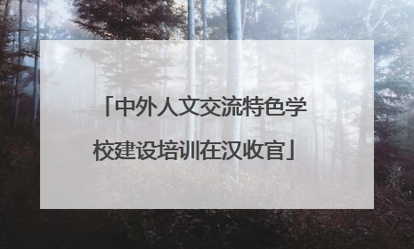 中外人文交流特色学校建设培训在汉收官