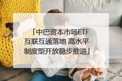 中巴资本市场ETF互联互通落地 高水平制度型开放稳步推进