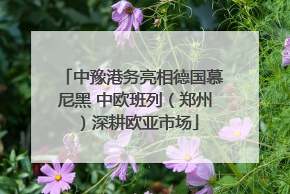 中豫港务亮相德国慕尼黑 中欧班列（郑州）深耕欧亚市场