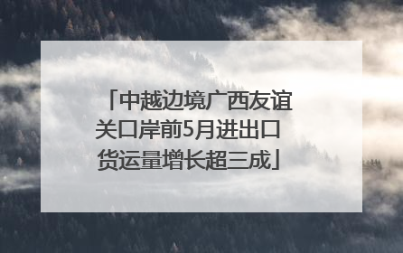 中越边境广西友谊关口岸前5月进出口货运量增长超三成