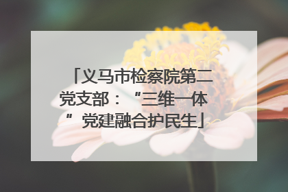 义马市检察院第二党支部：“三维一体”党建融合护民生