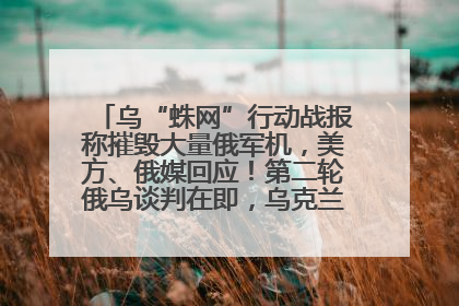 乌“蛛网”行动战报称摧毁大量俄军机，美方、俄媒回应！第二轮俄乌谈判在即，乌克兰提出三大诉求