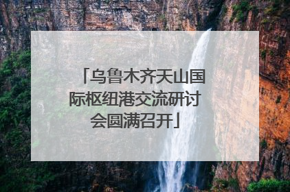 乌鲁木齐天山国际枢纽港交流研讨会圆满召开