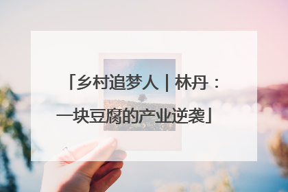 乡村追梦人｜林丹：一块豆腐的产业逆袭