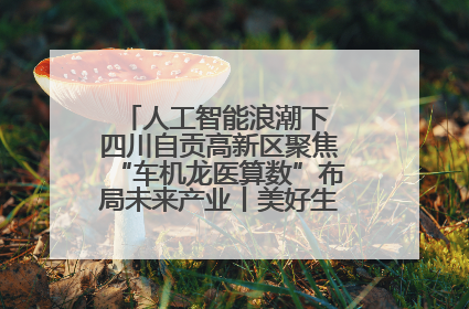 人工智能浪潮下 四川自贡高新区聚焦“车机龙医算数”布局未来产业丨美好生活有“盐”味