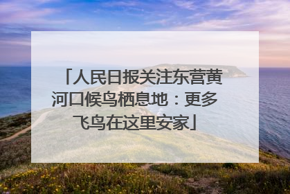 人民日报关注东营黄河口候鸟栖息地：更多飞鸟在这里安家