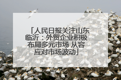 人民日报关注山东临沂：外贸企业积极布局多元市场 从容应对市场波动