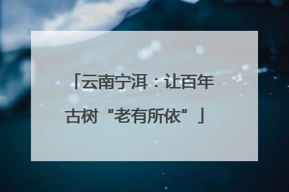 云南宁洱：让百年古树“老有所依”