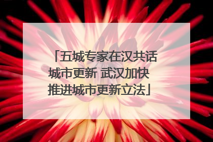 五城专家在汉共话城市更新 武汉加快推进城市更新立法