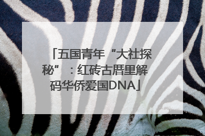 五国青年“大社探秘”：红砖古厝里解码华侨爱国DNA