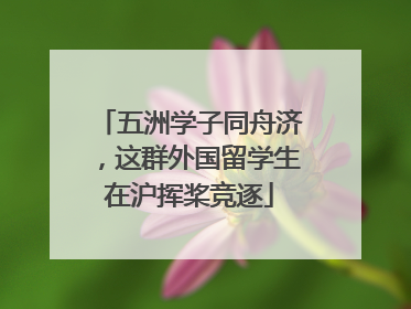 五洲学子同舟济，这群外国留学生在沪挥桨竞逐