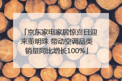 京东家电家居惊喜日迎来董明珠 带动空调品类销量同比增长100%
