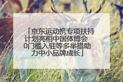 京东运动携专项扶持计划亮相中国体博会 0门槛入驻等多举措助力中小品牌成长