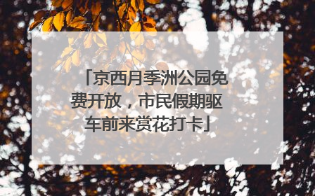 京西月季洲公园免费开放，市民假期驱车前来赏花打卡