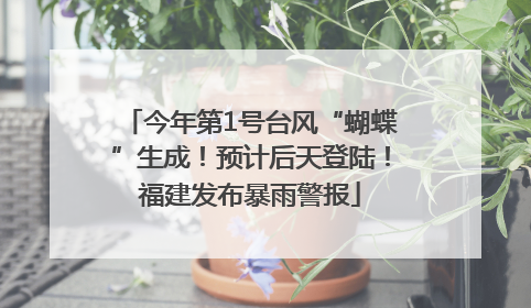 今年第1号台风“蝴蝶”生成！预计后天登陆！福建发布暴雨警报