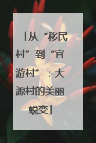 从“移民村”到“宜游村”：大源村的美丽蜕变