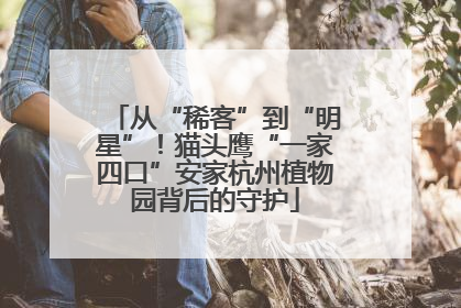 从“稀客”到“明星”！猫头鹰“一家四口”安家杭州植物园背后的守护