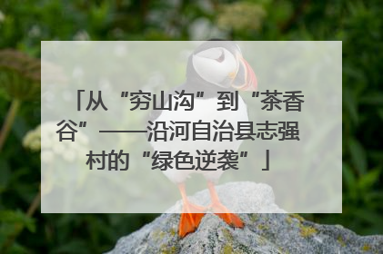 从“穷山沟”到“茶香谷”——沿河自治县志强村的“绿色逆袭”