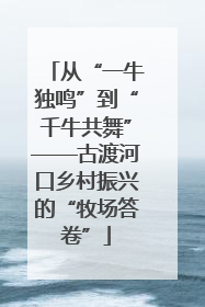 从“一牛独鸣”到“千牛共舞”——古渡河口乡村振兴的“牧场答卷”