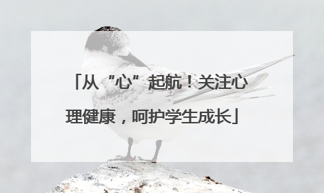 从“心”起航！关注心理健康，呵护学生成长