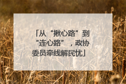 从“揪心路”到“连心路”，政协委员牵线解民忧
