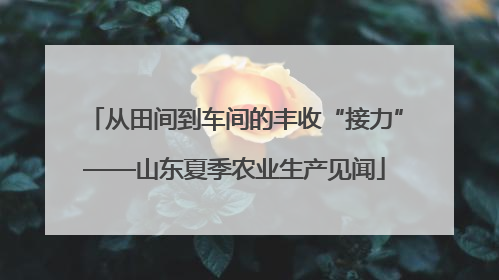 从田间到车间的丰收“接力”——山东夏季农业生产见闻