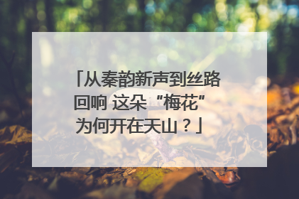 从秦韵新声到丝路回响 这朵“梅花”为何开在天山？