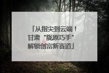 从指尖到云端！甘肃“陇原巧手”解锁创富新赛道