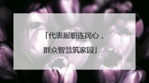 代表履职连民心，群众智慧筑家园
