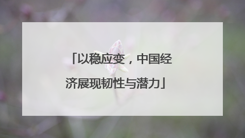 以稳应变，中国经济展现韧性与潜力