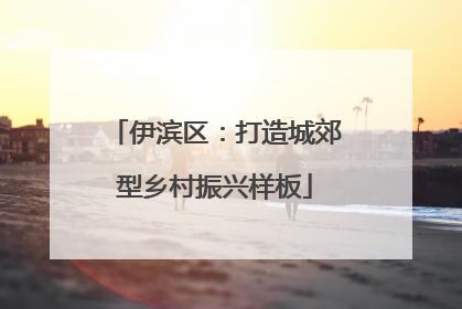 伊滨区：打造城郊型乡村振兴样板
