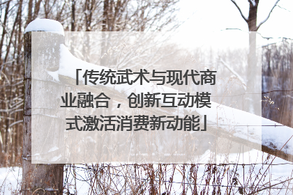传统武术与现代商业融合，创新互动模式激活消费新动能
