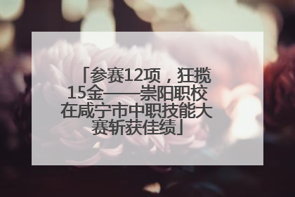参赛12项，狂揽15金——崇阳职校在咸宁市中职技能大赛斩获佳绩