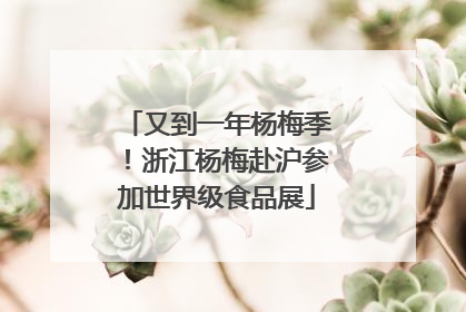 又到一年杨梅季！浙江杨梅赴沪参加世界级食品展