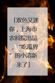 双色又迷你，上海市农科院出品，“吃瓜界”的小清新来了