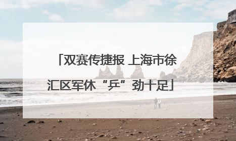 双赛传捷报 上海市徐汇区军休“乒”劲十足