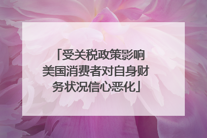 受关税政策影响 美国消费者对自身财务状况信心恶化